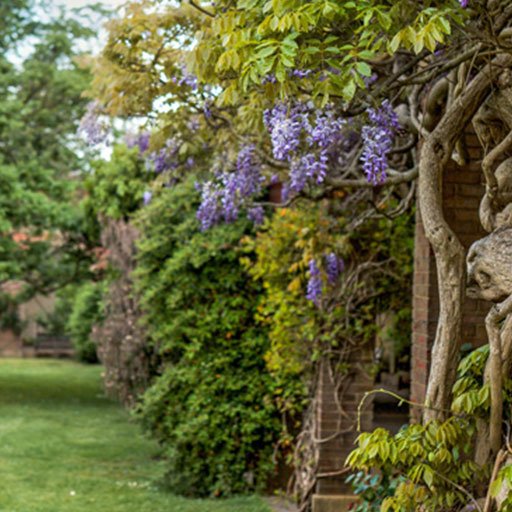 Mantenimiento de jardines y zonas verdes