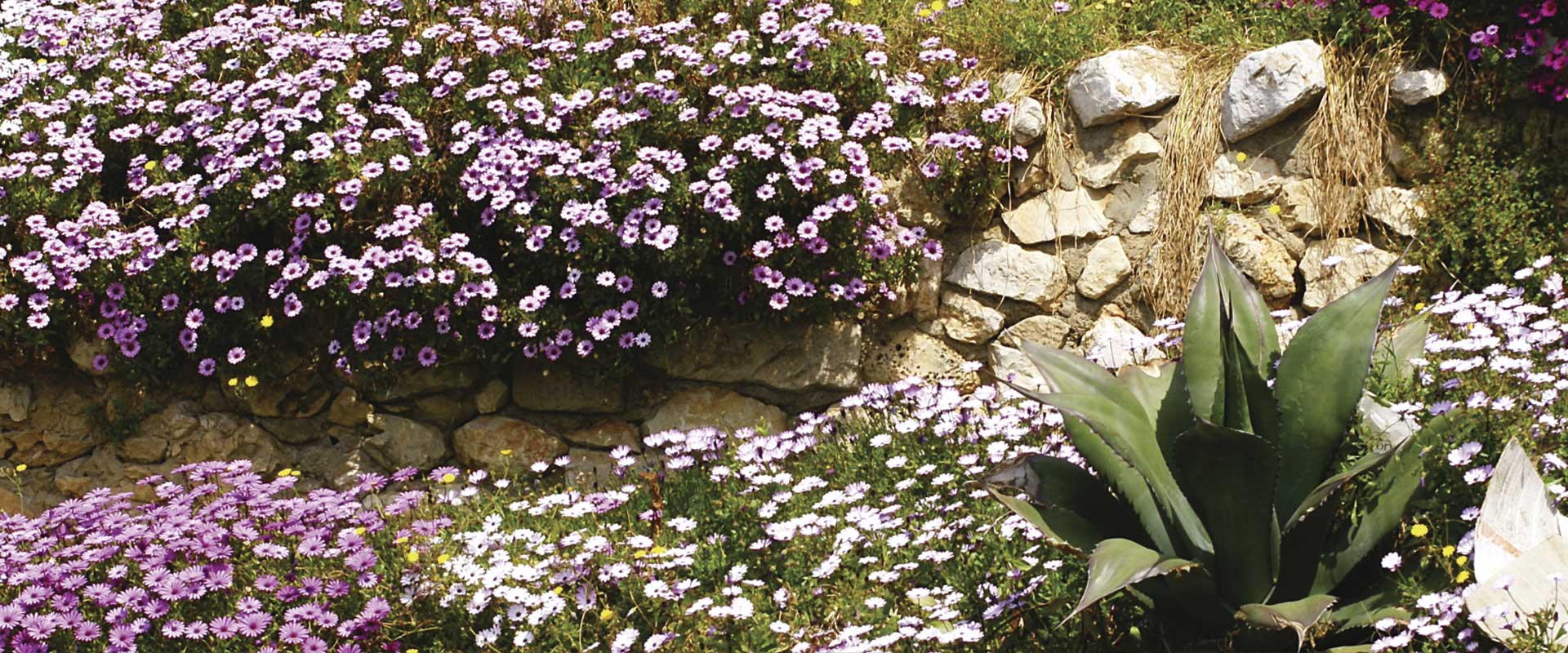 Diseño de jardines en Sitges 1 Servicio de Mantenimiento de Jardines, Diseño de jardines en Sitges
