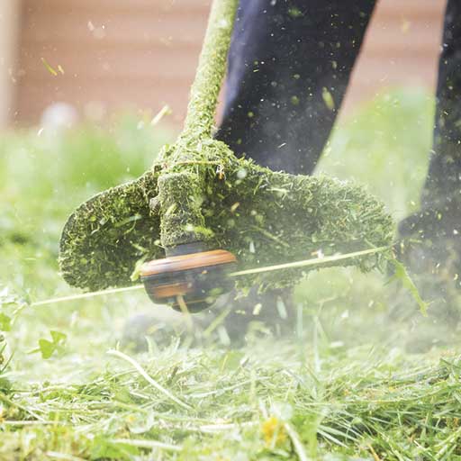 Limpieza de parcelas en Barcelona para prevención de incendios y mantenimiento del paisaje.