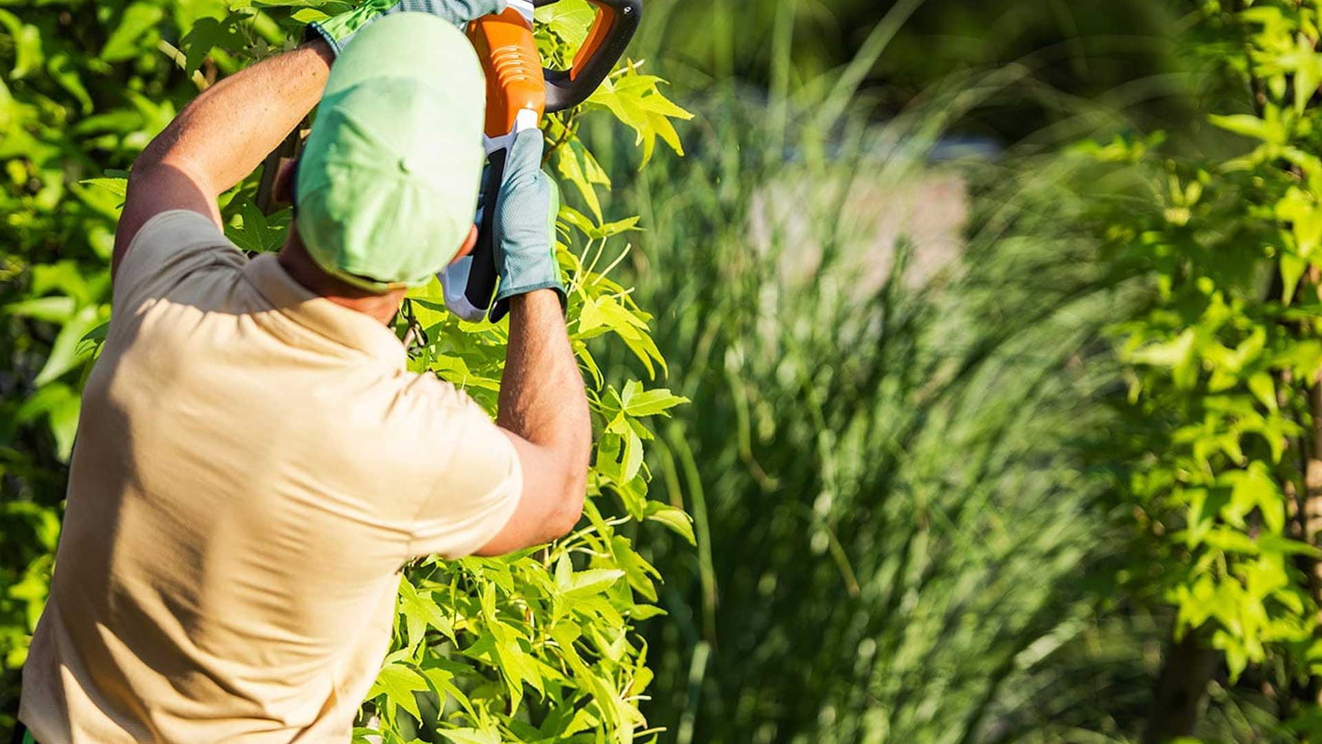 Jardineros profesionales en Garraf y Baix Penedès 9 Servicio de Mantenimiento de Jardines