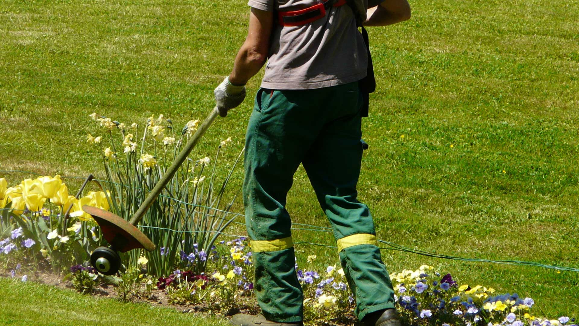 Jardineros profesionales en Garraf y Baix Penedès 10 Mantenimiento de jardines, jardineros profesionales en Garraf i Baix Penedès. Jardívida