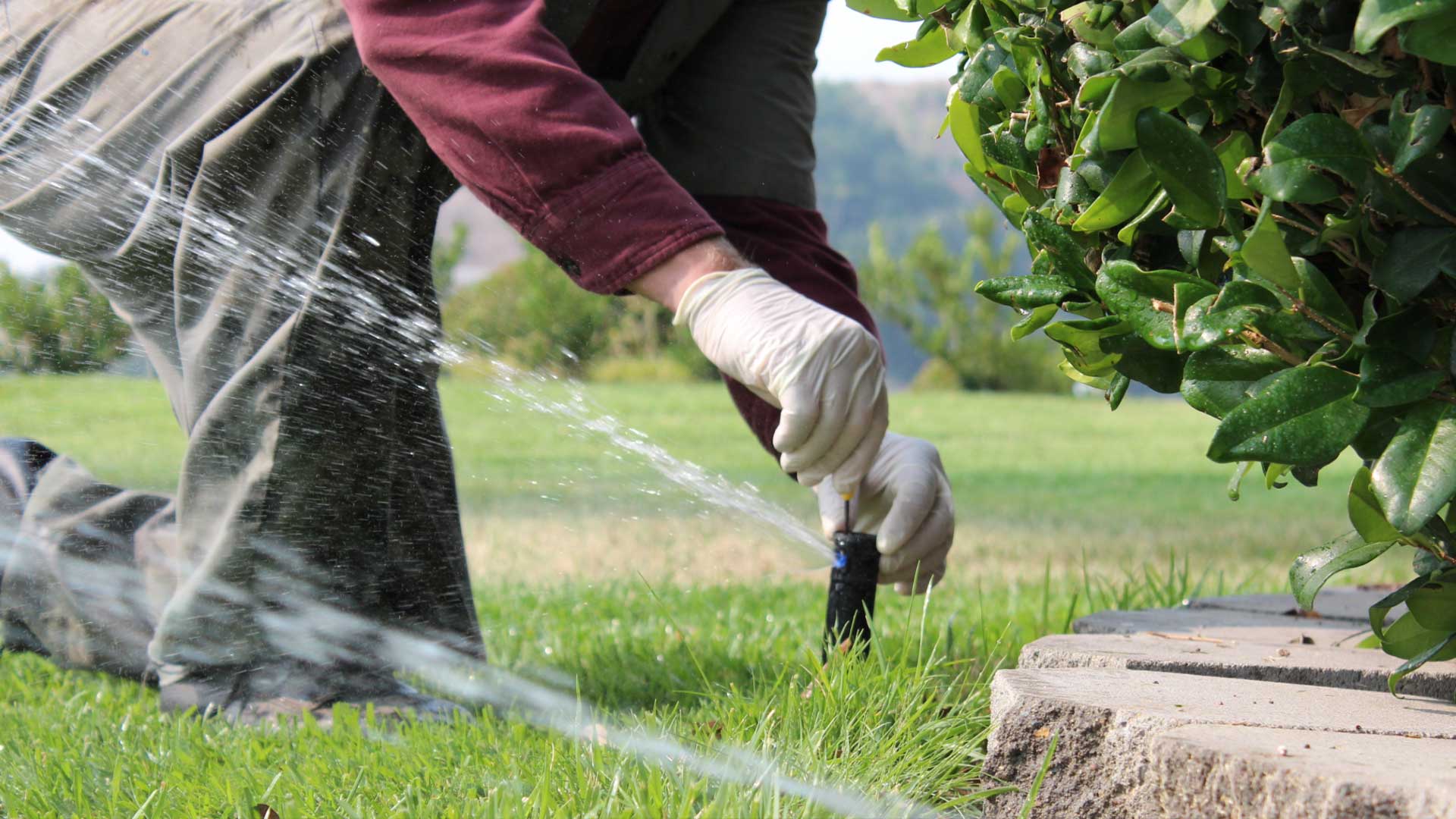Jardineros profesionales en Garraf y Baix Penedès 6 Jardineros profesionales en Garraf y Baix Penedès