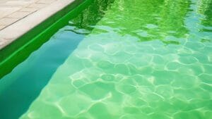 Jardineros profesionales en Garraf y Baix Penedès 26 agua de la piscina turbia