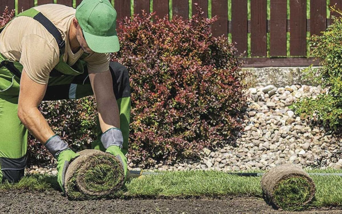 césped para jardines con poco uso en Sitges
