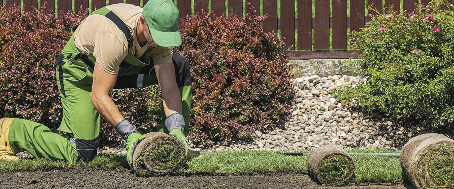 El mejor tipo de césped para jardines con poco uso en Sitges 1 césped para jardines con poco uso en Sitges