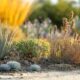 ¿Qué es un jardín xerófilo y por qué es ideal para Cunit y zonas aledañas?