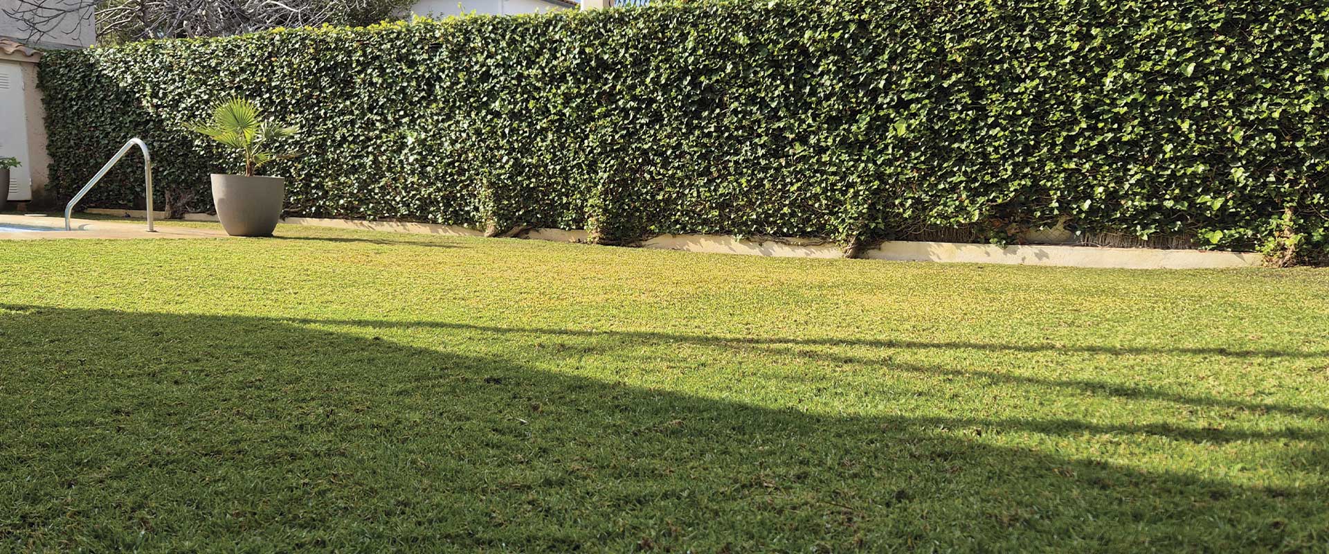 Jardinería en Cunit 1 Servicios de jardinería en Cunit con poda de setos, cipreses, olivos y mantenimiento del jardín