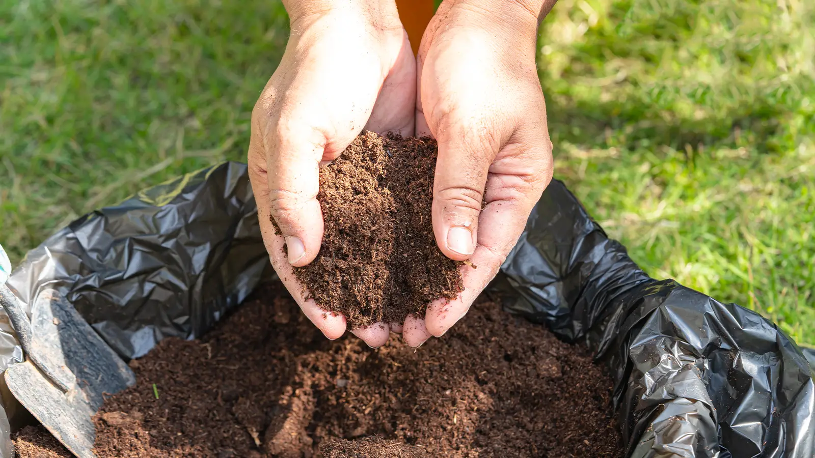 Mano que sostiene compost para el mantenimiento del jardín en otoño