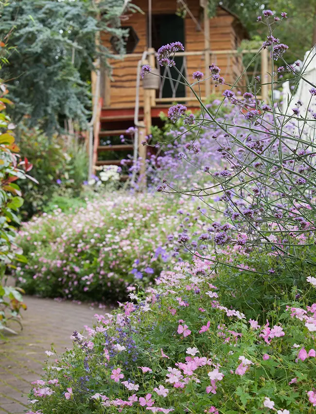 Imagen de jardín biodiverso