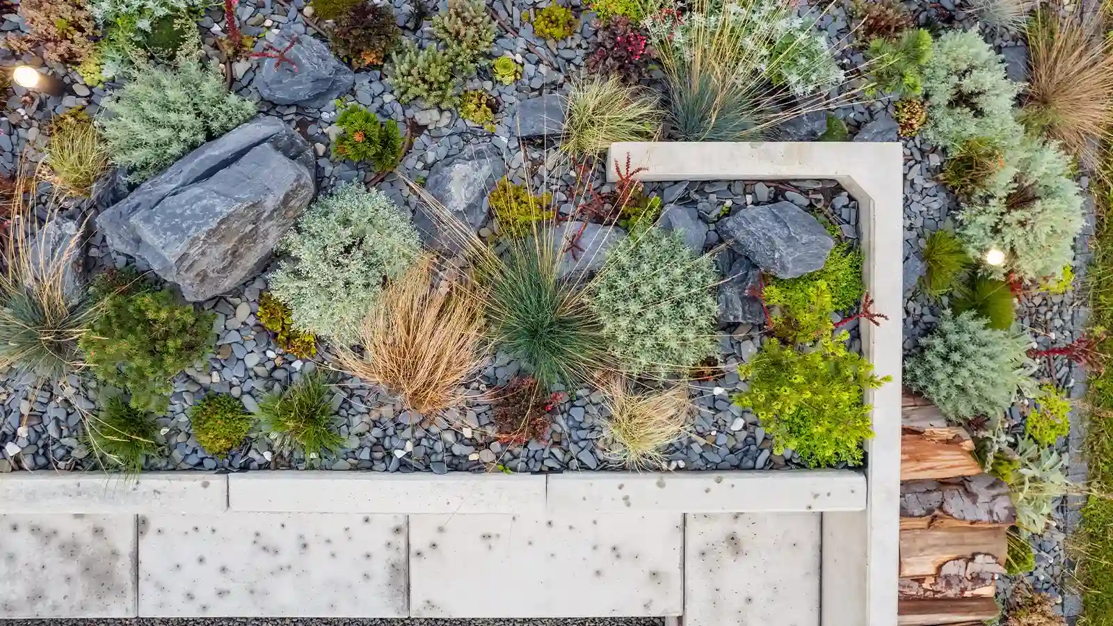 Combinación de plantas en diseño de jardín sostenible en Garraf y Baix Penedès