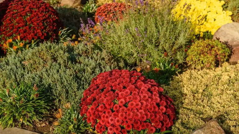 Diseño de paisajismo mediterráneo para crear textura y color.