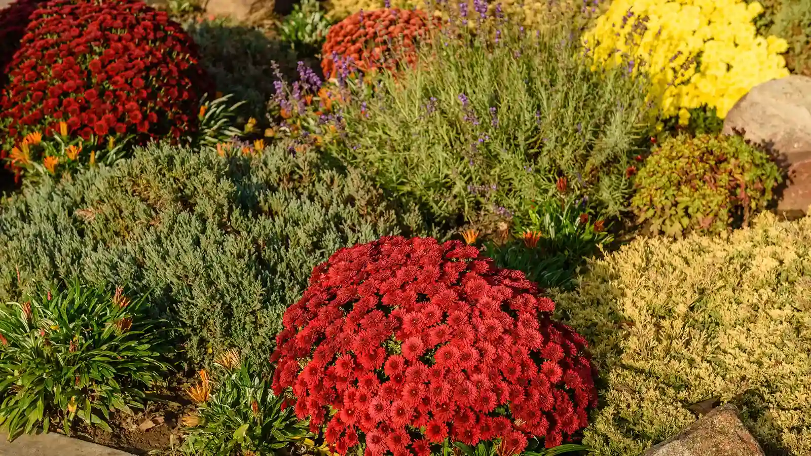 Disseny de paisatgisme mediterrani per crear textura i color.