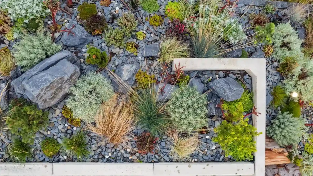 Construcción de jardines sostenibles en La Costa del Garraf y Baix Penedès