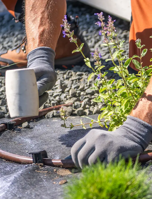 Instalación sistema de riego Garraf y Baix Penedès
