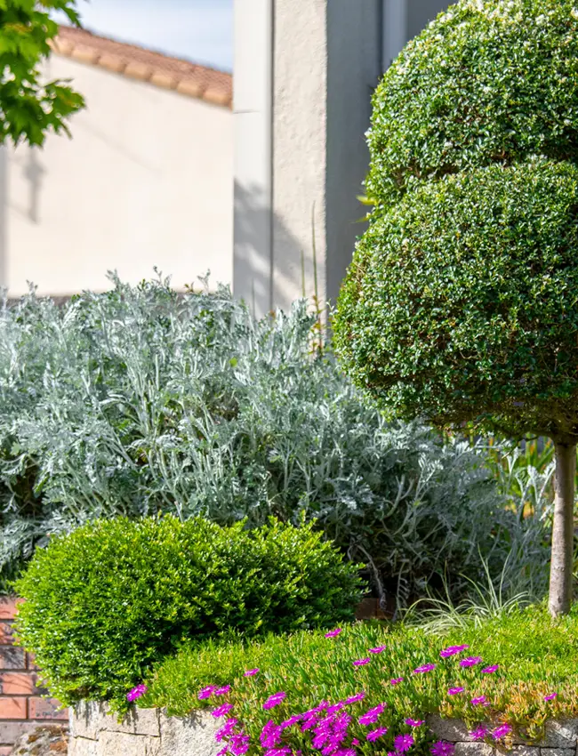 mantenimiento integral de jardinería en Cunit y alrededores