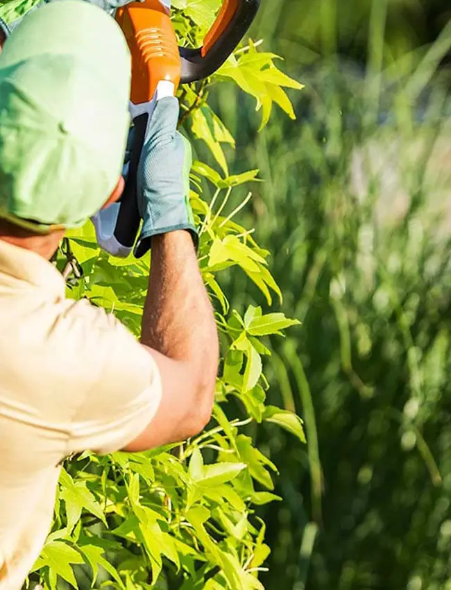 Inicio Mantenimiento de jardines y riego automático en Calafell