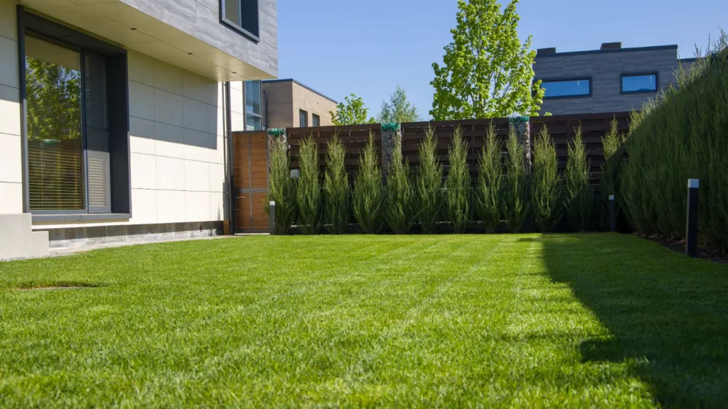 Servicios de jardinería. Imagen de Jardín privado con césped natural en perfecto estado de conservación y mantenimiento profesional