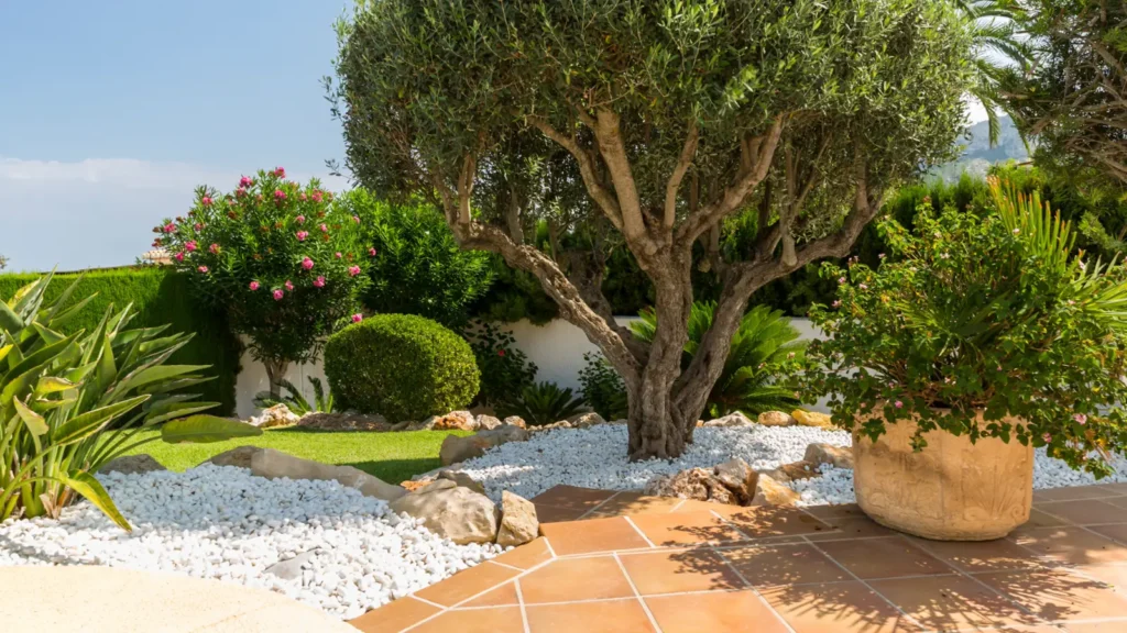 Fotografía de jardín con vegetación en perfecto estado de mantenimiento y cuidado