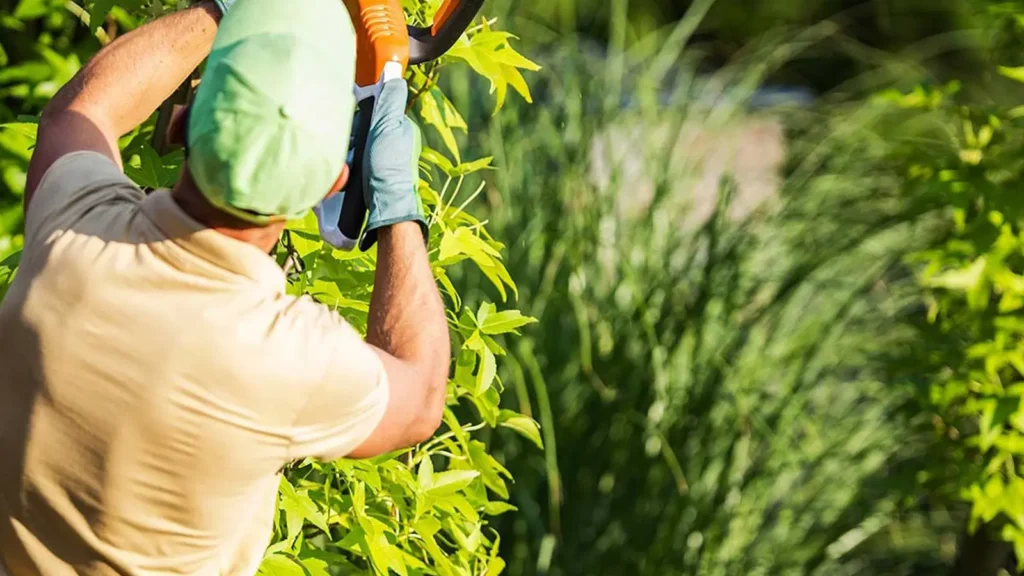 Jardinero profesional en Segur de Calafell