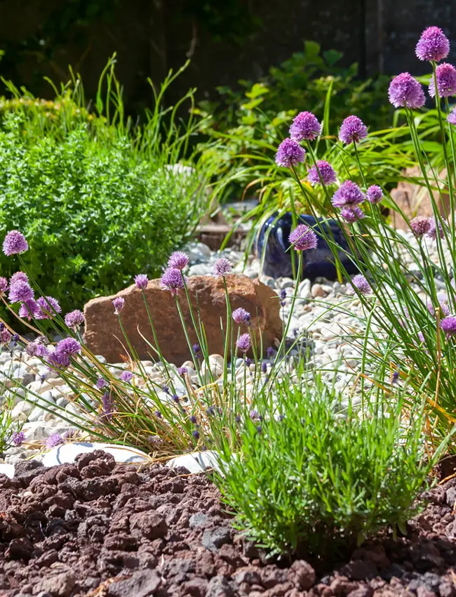 Jardinería sostenible con jardineros en Vilanova