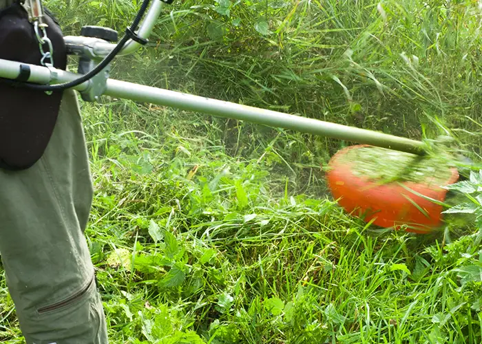 Jardineros Cubelles Desbroce de parcela Cubelles