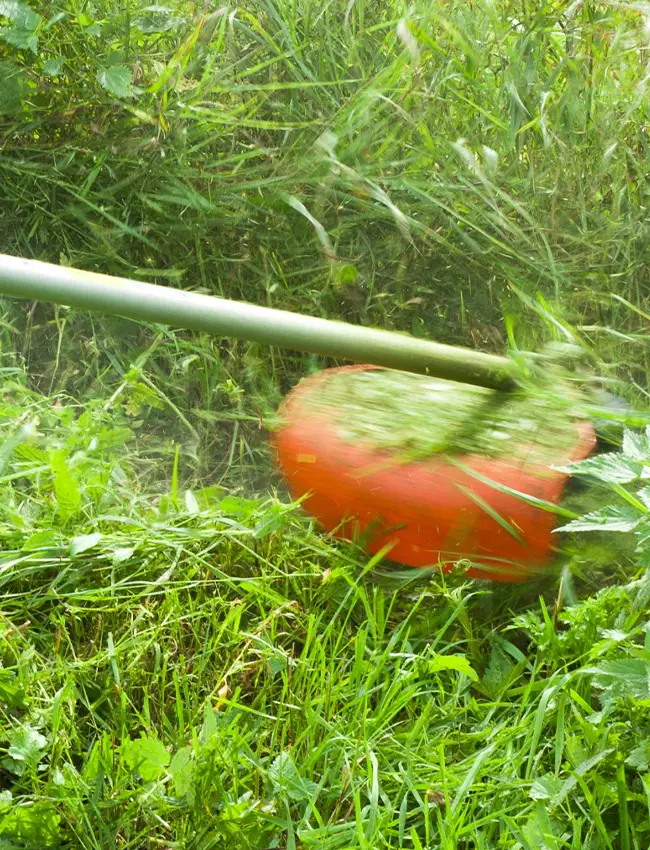 Limpieza de parcelas con jardineros en Vilanova i la Geltrú