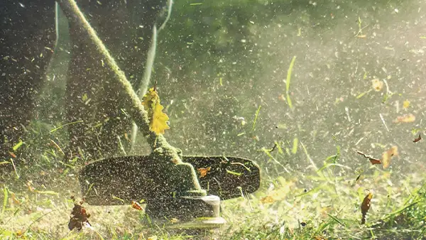 Inicio Diseño de jardines mediterráneos en Sitges