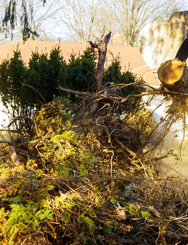 Gestión de residuos en desbroce de parcelas