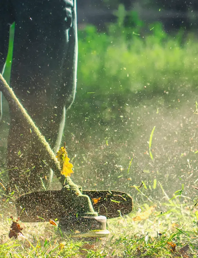 Mantenimiento parcelas Garraf i Baix Penedès con Jardineros en Sitges
