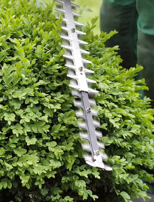 Jardineros Calafell Jardineros profesionales y mantenimiento de jardines en Calafell