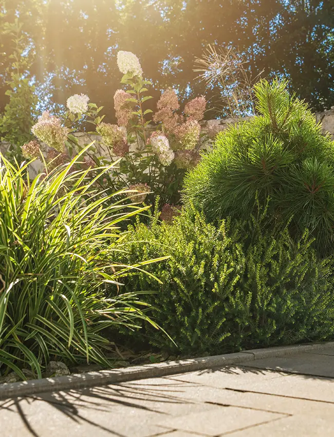 conservación de jardines comunitarios en Vilanova i la Geltrú y Baix Penedès