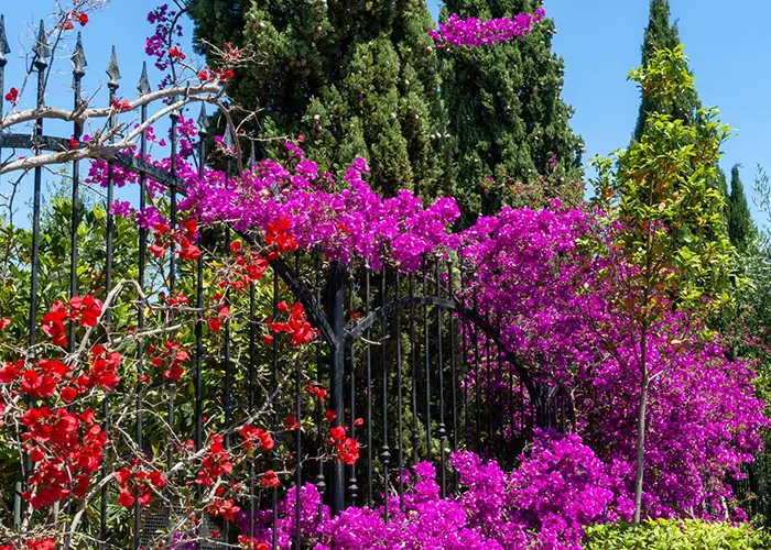 Jardineros Cubelles Jardineros en Calafell - Jardívida