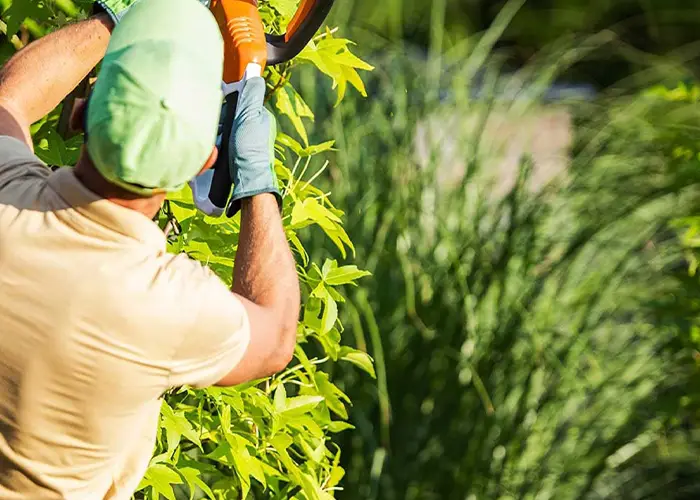 Contacto Contacta con Jardívida. Jardinería y mantenimiento de piscinas en el Garraf y Baix Penedès