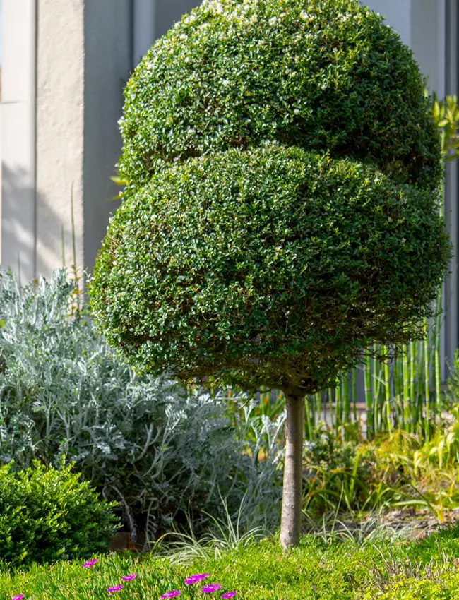 Contacto Contacta con Jardívida. Jardinería y mantenimiento de piscinas en el Garraf y Baix Penedès