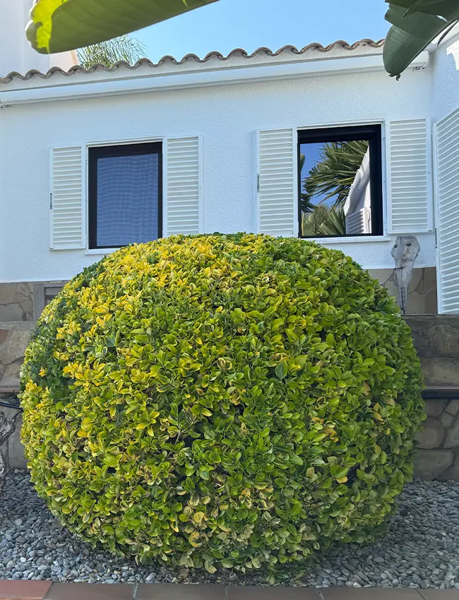 Jardineros Calafell Mantenimiento de jardines y poda en Calafell