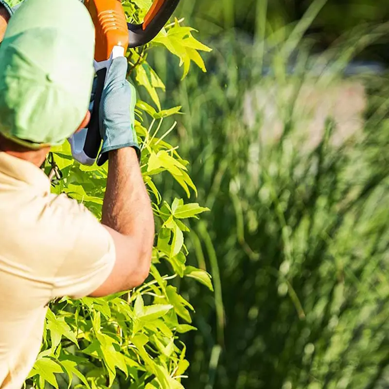 Mantenimiento de jardines en Cunit con Jardívida