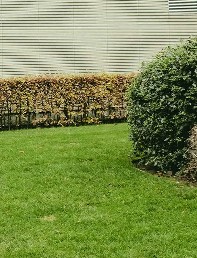 Jardineros Calafell Servicios de mantenimiento de jardines comunitarios en Calafell