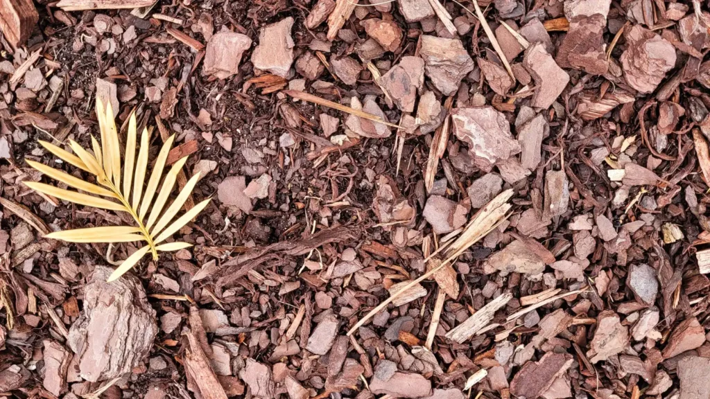 Qué es el acolchado (mulch) y cuándo conviene