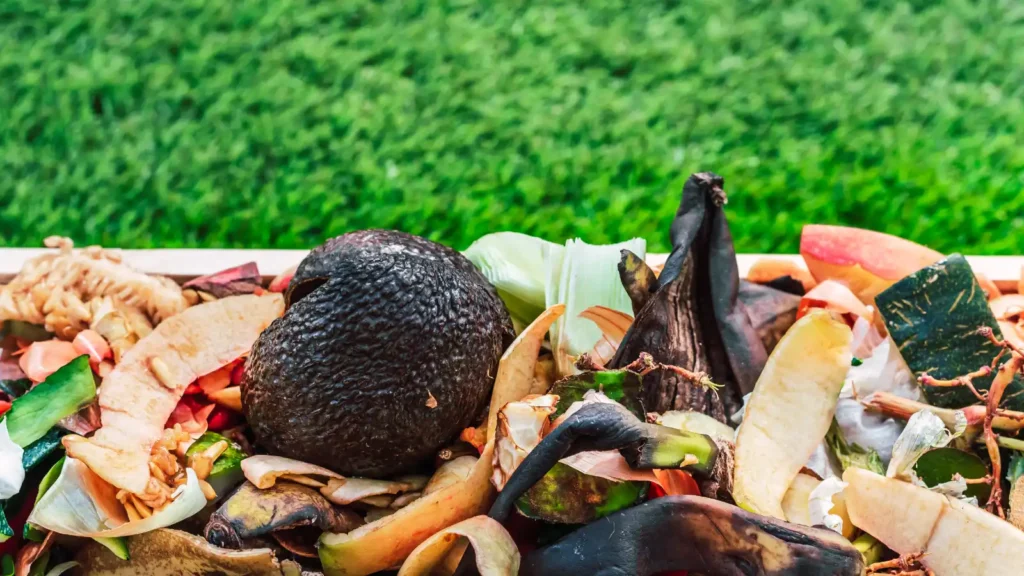 Cómo hacer compost en casa