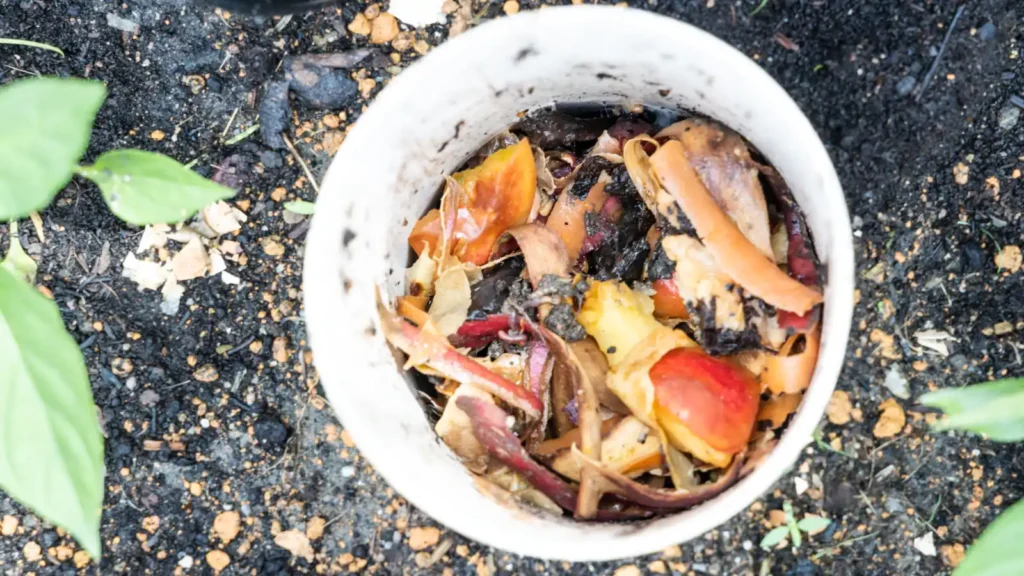 Cómo hacer compost en casa. Qué sí y qué no puedes compostar