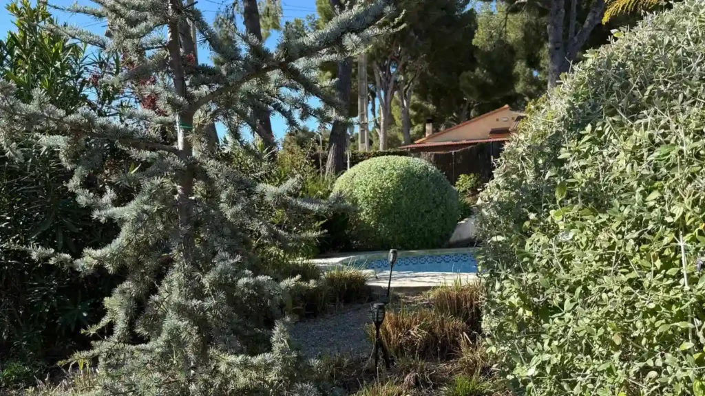 Mantenimiento de jardines Mantenimiento de jardines